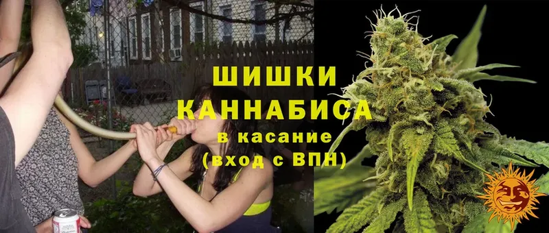 дарк нет клад  Лобня  Бошки марихуана Amnesia 